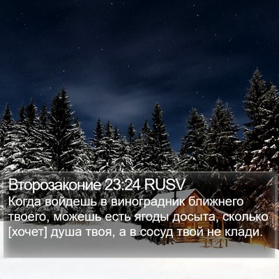 Второзаконие 23:24 RUSV Bible Verse Image