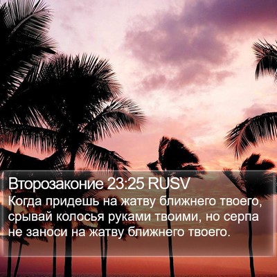 Второзаконие 23:25 RUSV Bible Verse Image