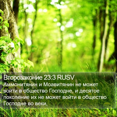 Второзаконие 23:3 RUSV Bible Verse Image