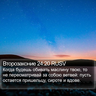 Второзаконие 24:20 RUSV Bible Verse Image