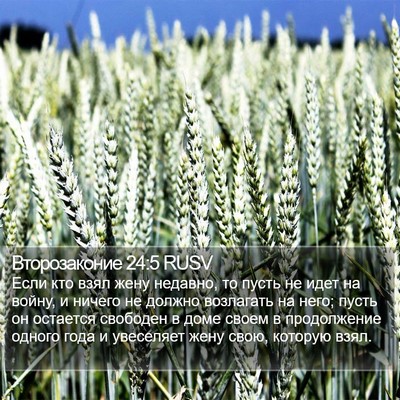 Второзаконие 24:5 RUSV Bible Verse Image