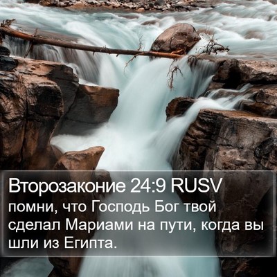 Второзаконие 24:9 RUSV Bible Verse Image