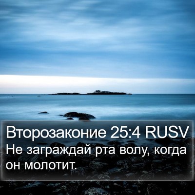 Второзаконие 25:4 RUSV Bible Verse Image