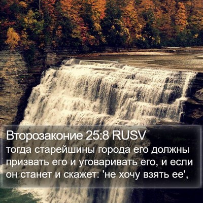 Второзаконие 25:8 RUSV Bible Verse Image