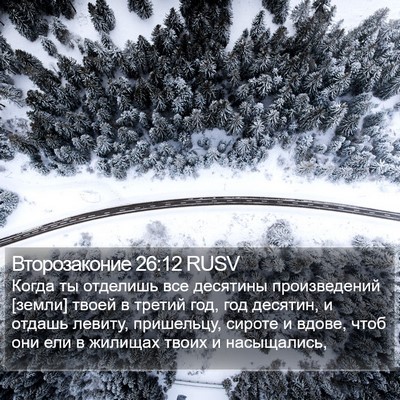 Второзаконие 26:12 RUSV Bible Verse Image