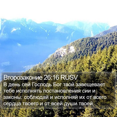 Второзаконие 26:16 RUSV Bible Verse Image