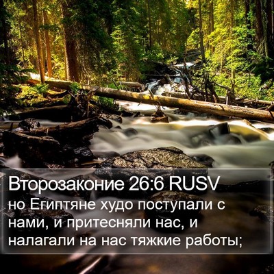 Второзаконие 26:6 RUSV Bible Verse Image