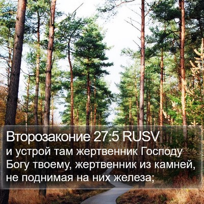 Второзаконие 27:5 RUSV Bible Verse Image