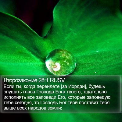 Второзаконие 28:1 RUSV Bible Verse Image
