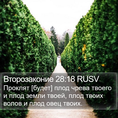 Второзаконие 28:18 RUSV Bible Verse Image