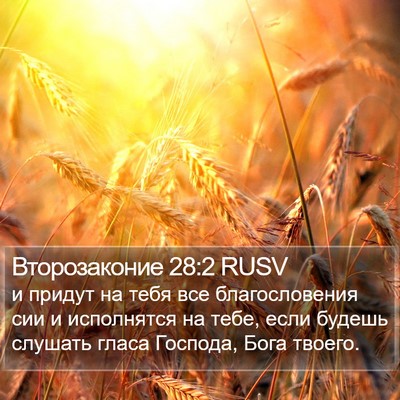 Второзаконие 28:2 RUSV Bible Verse Image