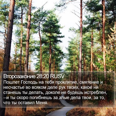 Второзаконие 28:20 RUSV Bible Verse Image