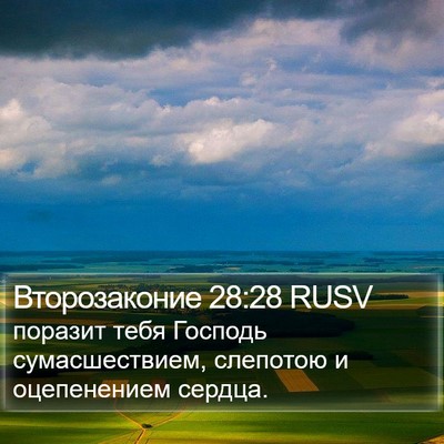 Второзаконие 28:28 RUSV Bible Verse Image