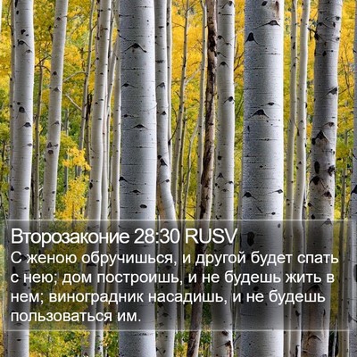 Второзаконие 28:30 RUSV Bible Verse Image