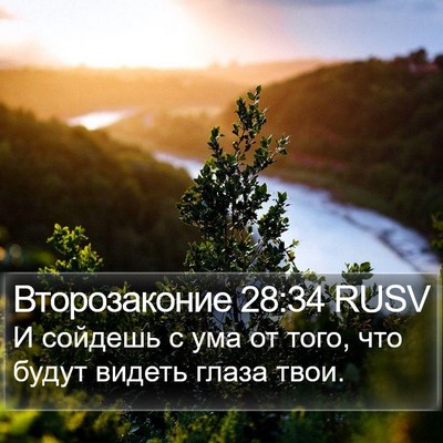 Второзаконие 28:34 RUSV Bible Verse Image