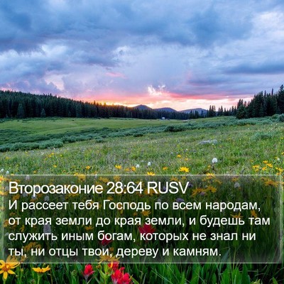 Второзаконие 28:64 RUSV Bible Verse Image