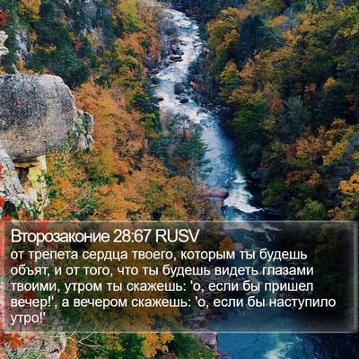 Второзаконие 28:67 RUSV Bible Verse Image