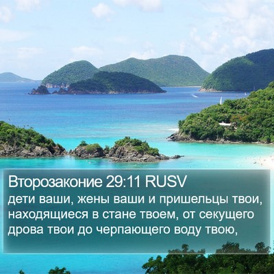 Второзаконие 29:11 RUSV Bible Verse Image