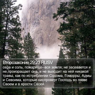 Второзаконие 29:23 RUSV Bible Verse Image