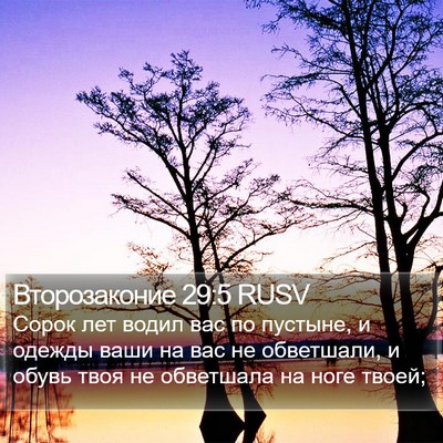 Второзаконие 29:5 RUSV Bible Verse Image