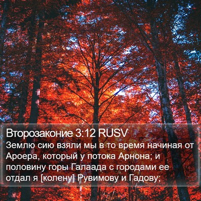 Второзаконие 3:12 RUSV Bible Verse Image
