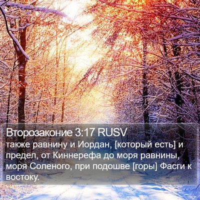 Второзаконие 3:17 RUSV Bible Verse Image