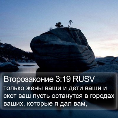 Второзаконие 3:19 RUSV Bible Verse Image