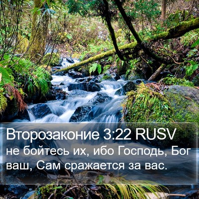 Второзаконие 3:22 RUSV Bible Verse Image