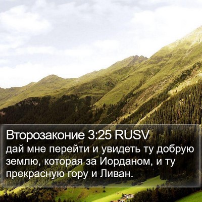 Второзаконие 3:25 RUSV Bible Verse Image