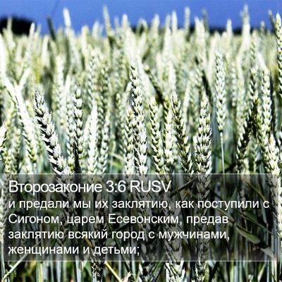 Второзаконие 3:6 RUSV Bible Verse Image