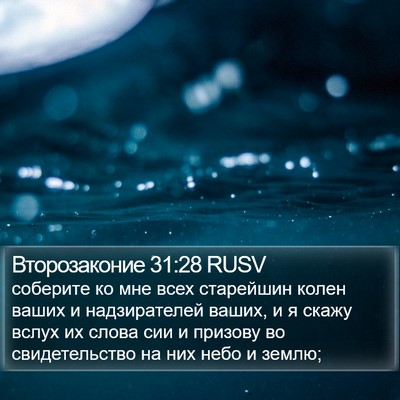 Второзаконие 31:28 RUSV Bible Verse Image