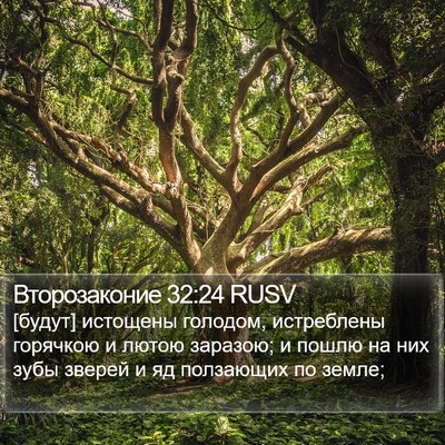 Второзаконие 32:24 RUSV Bible Verse Image