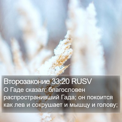 Второзаконие 33:20 RUSV Bible Verse Image