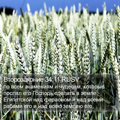 Второзаконие 34:11 RUSV Bible Verse Image
