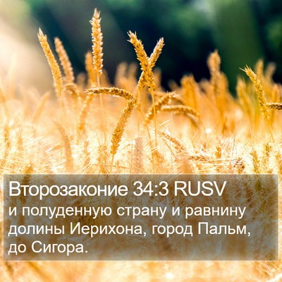 Второзаконие 34:3 RUSV Bible Verse Image