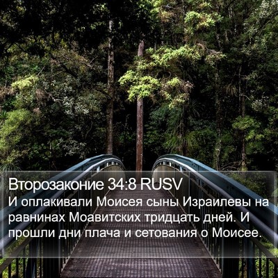 Второзаконие 34:8 RUSV Bible Verse Image