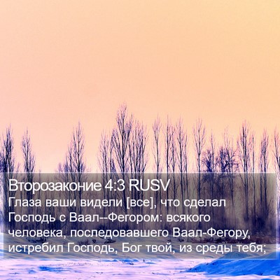 Второзаконие 4:3 RUSV Bible Verse Image