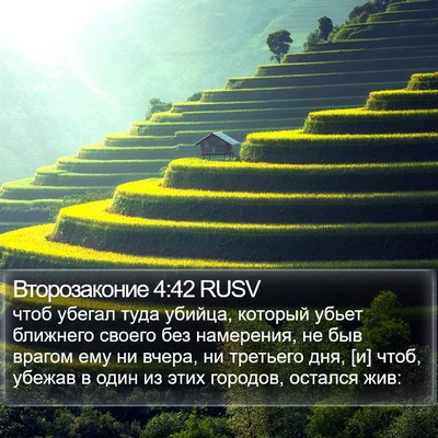 Второзаконие 4:42 RUSV Bible Verse Image