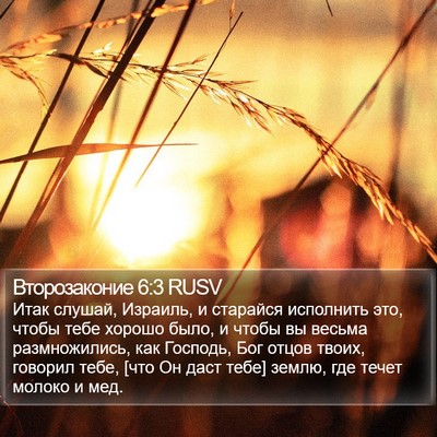 Второзаконие 6:3 RUSV Bible Verse Image