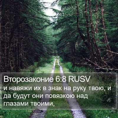 Второзаконие 6:8 RUSV Bible Verse Image