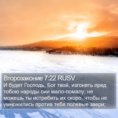 Второзаконие 7:22 RUSV Bible Verse Image