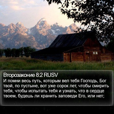 Второзаконие 8:2 RUSV Bible Verse Image
