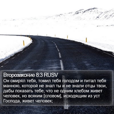Второзаконие 8:3 RUSV Bible Verse Image