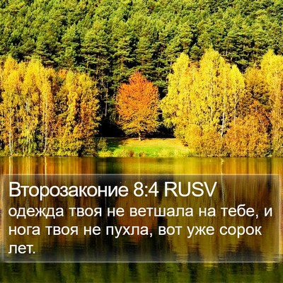 Второзаконие 8:4 RUSV Bible Verse Image