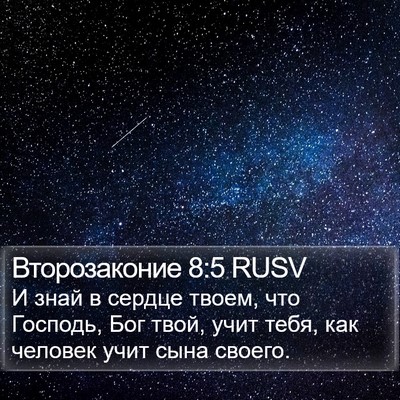 Второзаконие 8:5 RUSV Bible Verse Image