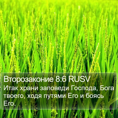 Второзаконие 8:6 RUSV Bible Verse Image