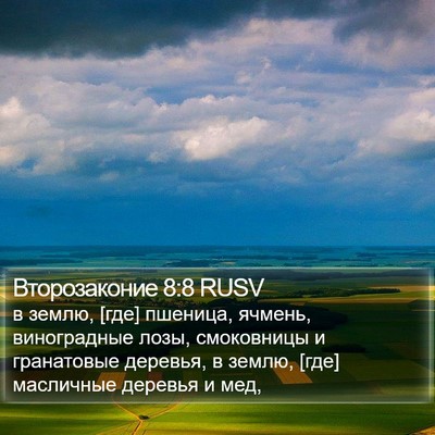 Второзаконие 8:8 RUSV Bible Verse Image