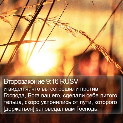 Второзаконие 9:16 RUSV Bible Verse Image