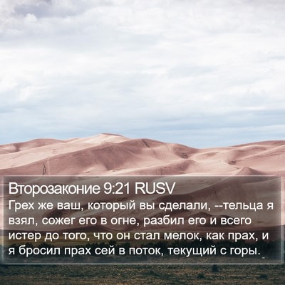 Второзаконие 9:21 RUSV Bible Verse Image