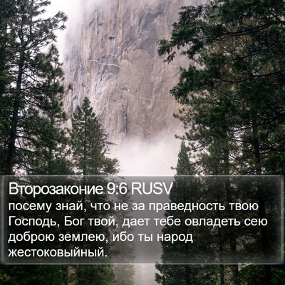 Второзаконие 9:6 RUSV Bible Verse Image